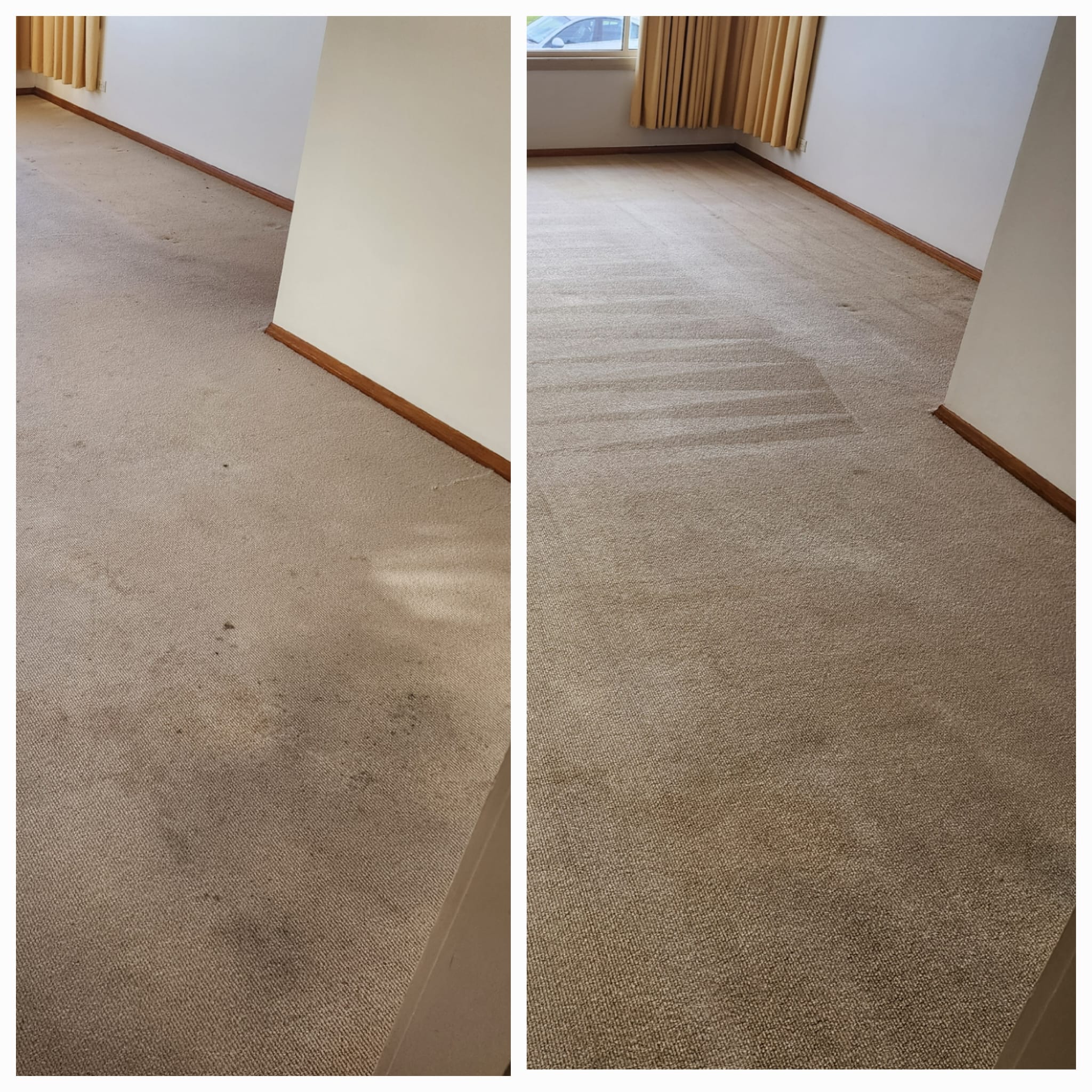 carpet