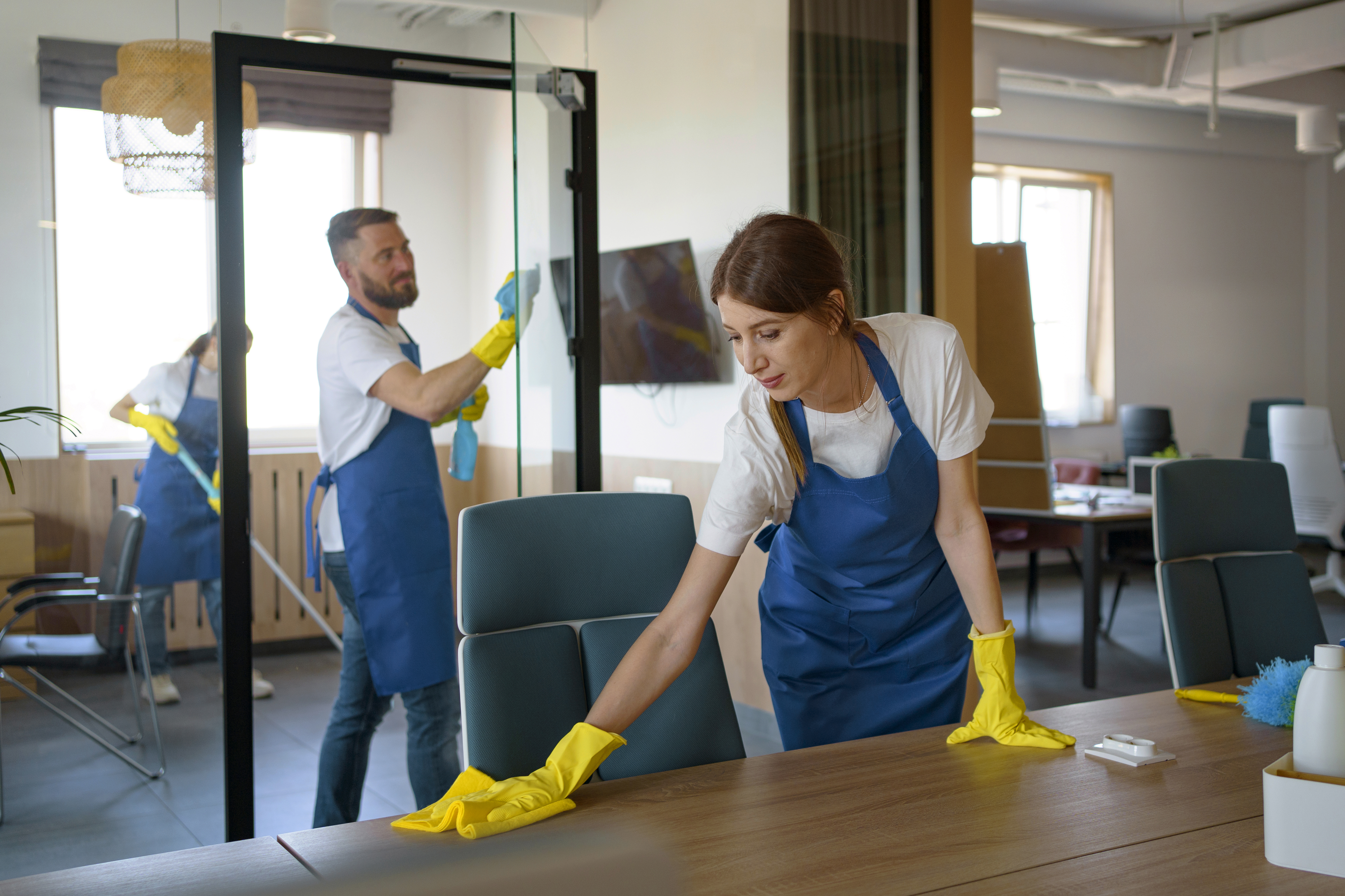 professional_cleaning